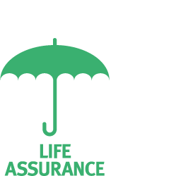 Life assurance Icon